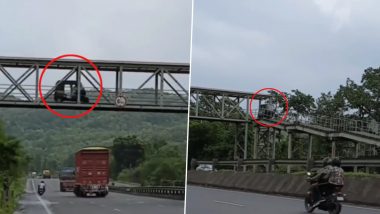 Viral Video Of Auto Rickshaw: हाईवे क्रॉस करण्यासाठी रिक्षा चालकाने पुलावरून चालवली रिक्षा; व्हायरल व्हिडिओ पाहून नेटकरी झाले थक्क